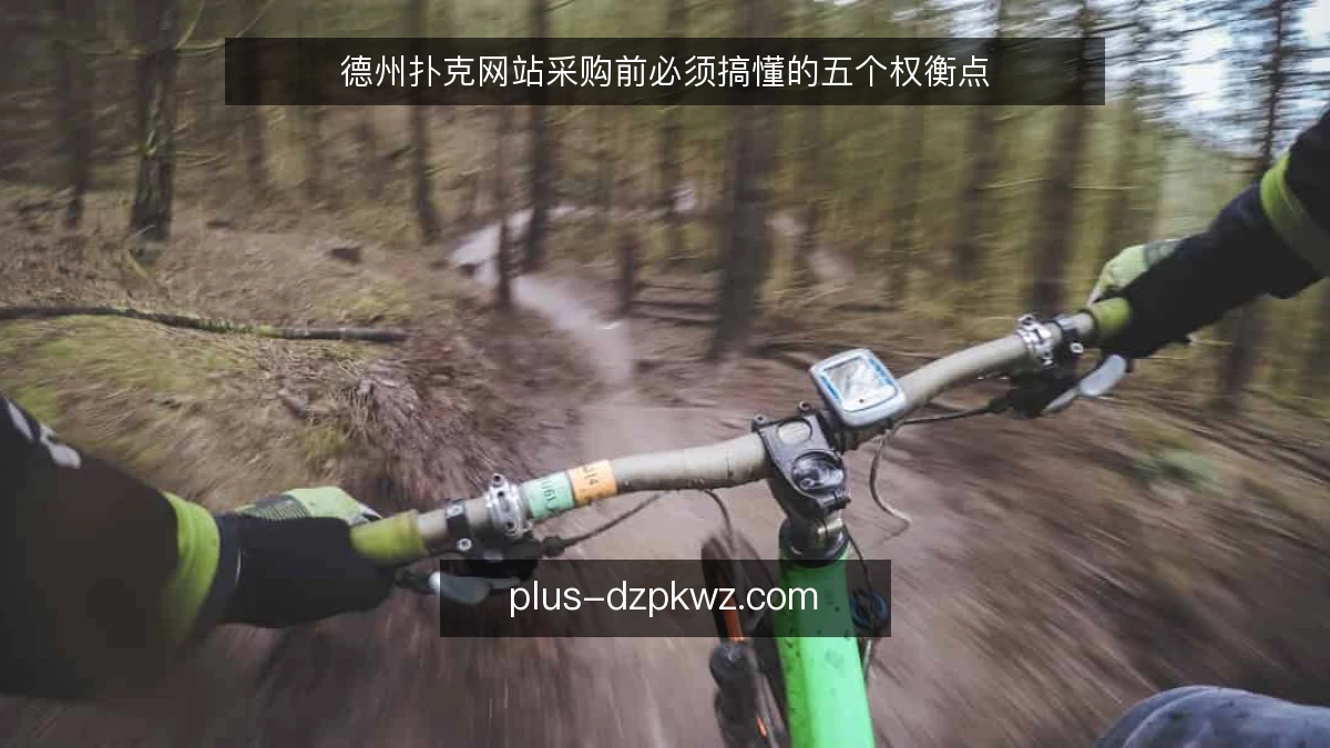 德州扑克网站采购前必须搞懂的五个权衡点