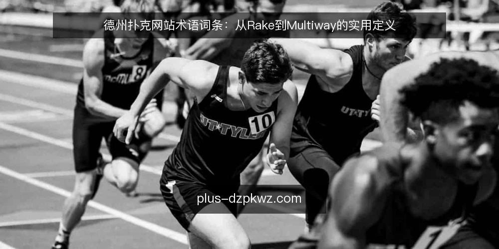 德州扑克网站术语词条:从Rake到Multiway的实用定义 — 德州扑克网站术语:先厘清基础概念 配图