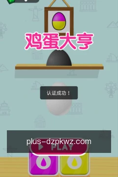 专家策略咨询